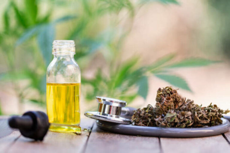 Hanf und Medizin, eine wiederentdeckte Heilpflanze?